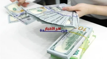 تحديثات الصرف بالبنوك.. استقرار سعر الدولار مقابل الجنيه المصري بتعاملات يوم الاثنين